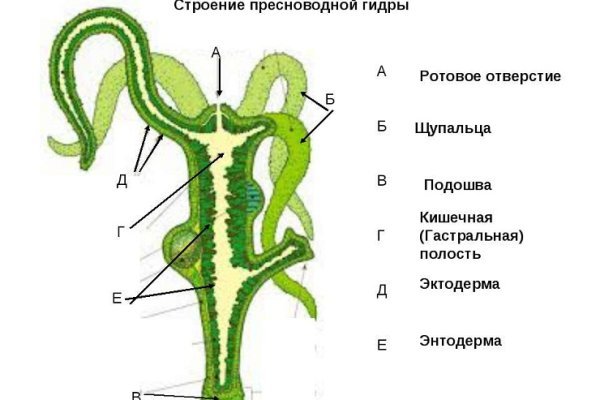 Что продают на сайте кракен