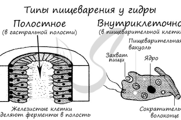 Как найти сайт кракен