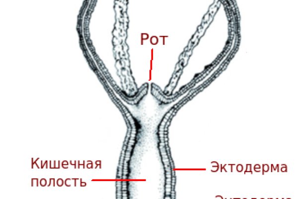 Кракен даркнет плейс