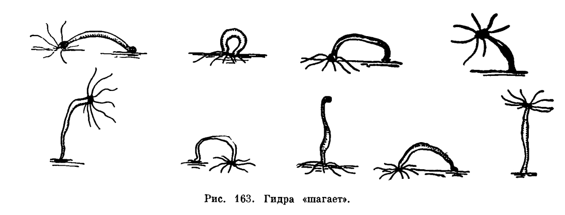 Кракен офф сайт